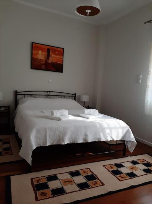 Apartment μonika's
